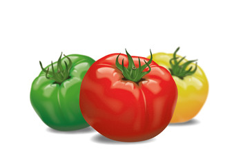 three fresh tomatoes in different colours