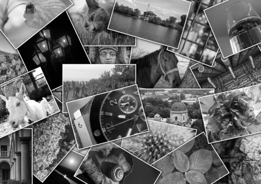 Mosaic colage with pictures of different places, landscapes, flowers, insects, objects and animals shot by myself black and white
