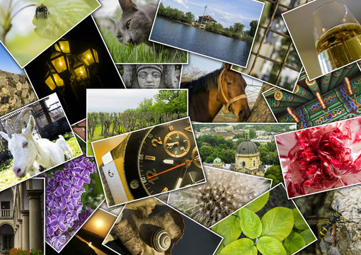 Mosaic colage with pictures of different places, landscapes, flowers, insects, objects and animals shot by myself