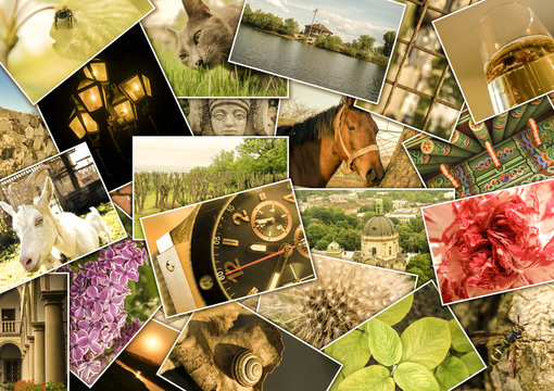 Mosaic colage with pictures of different places, landscapes, flowers, insects, objects and animals shot by myself filtered