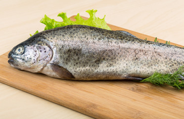 Raw fresh trout