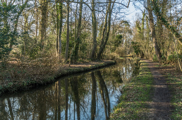 Woodland path beside tranquil stream in Fairhaven Woodland and W