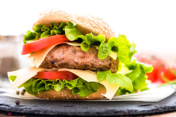 Closeup of Hamburger with Cheese Fresh Vegetables