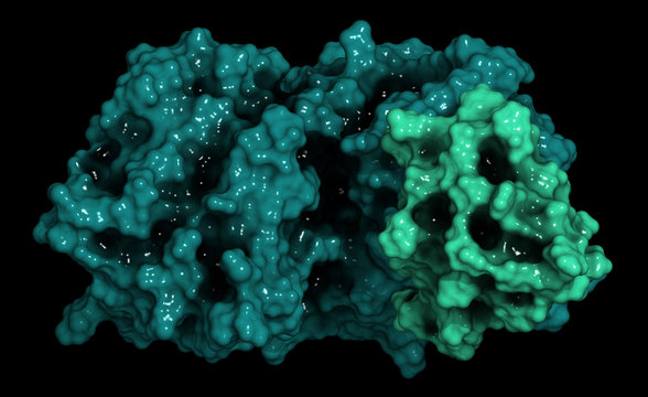 Proprotein convertase subtilisin kexin type 9 (PCSK9) protein. 