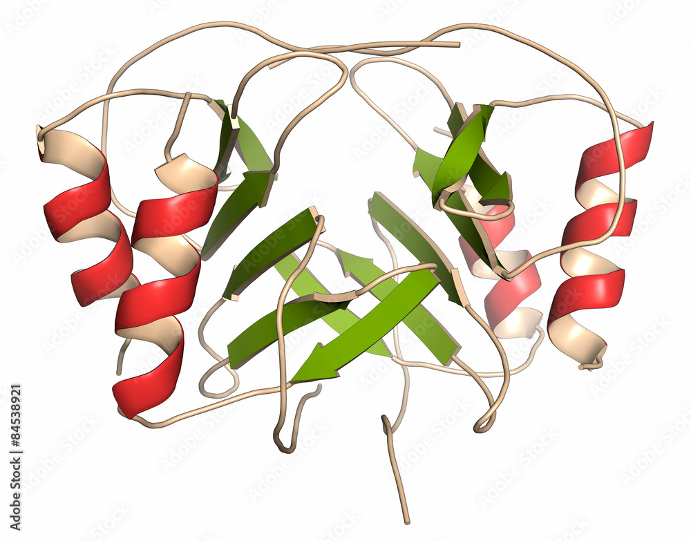 Canvas Prints Platelet factor 4 (PF-4) chemokine protein.