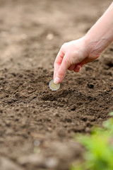 Female hand planting coin into soil, outdoors