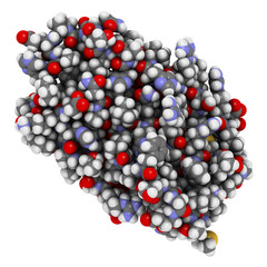 Thrombopoietin (THPO) hormone. 
