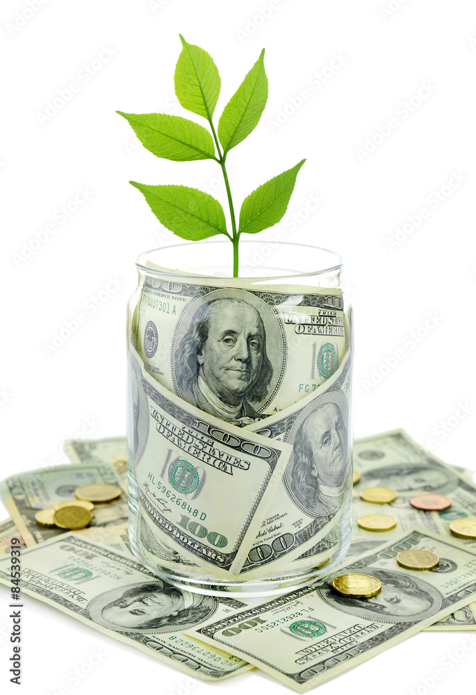 Wall mural money in glass jar with plant isolated on white