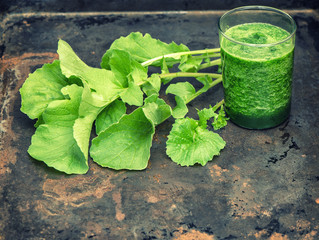 Smoothy of fresh green radish leaves. Healthy food. Vintage styl