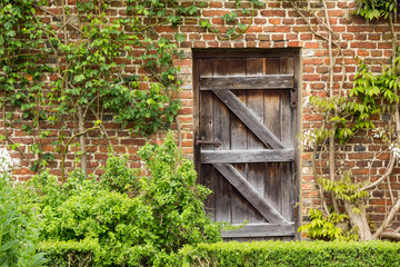 Old Closed Wooden Door in a Brick Wall in a Garden