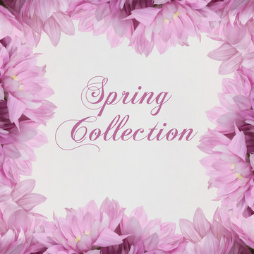 Spring Collection Flower frame on white background 