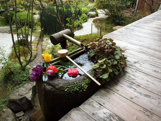 仏花の浮かんだ手水鉢