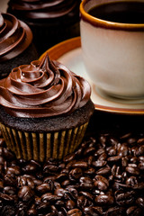Chocolate Cupcakes