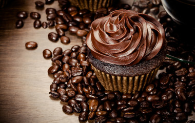 Chocolate Cupcakes