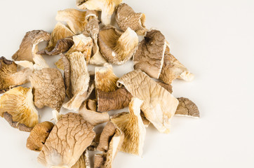 Oyster mushrooms