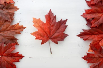 Fotobehang Happy Canada Day rode zijden bladeren in de vorm van de Canadese vlag. © millefloreimages