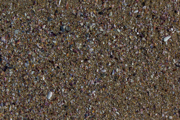 Textura de conchas quebradas