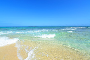 南国の美しいビーチと紺碧の空