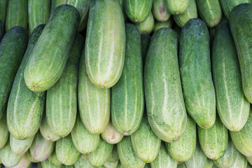 Cucumbers for sale at market, Thailand