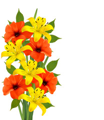 Background with colorful beautiful flowers. Vector illustration