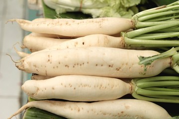 fresh radish in the market