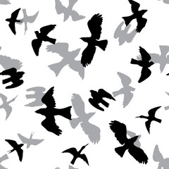 vector seamless pattern with birds