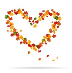 The heart of the autumn leaves