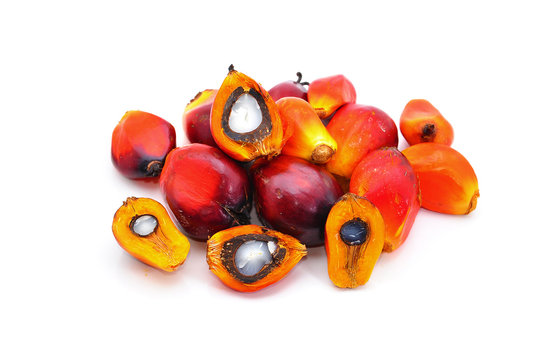 Loose Oil Palm Seed Over White Background