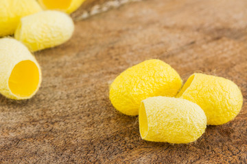 Silkworm cocoon on wood background.