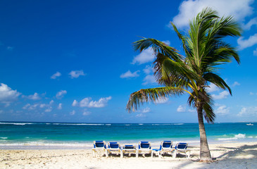 Fototapeta na wymiar Beach chairs under palm