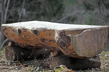 altar in the middle of the forest consists of a big tree trunk