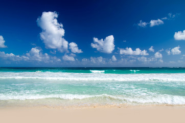 Fototapeta premium tropical sea