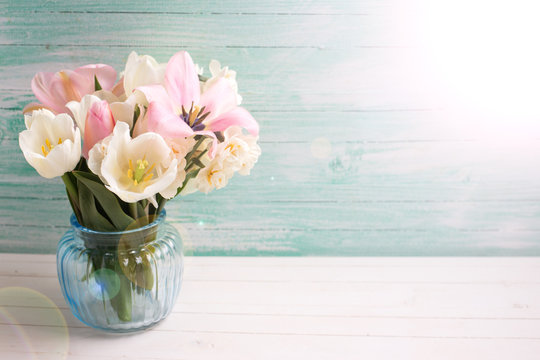 Background with fresh  tulip flowers