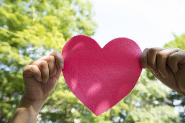 Obraz na płótnie Canvas Pink Heart and women hand
