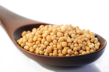 mustard seeds in wooden spoon