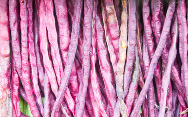 Long Beans, Violet Long Beans