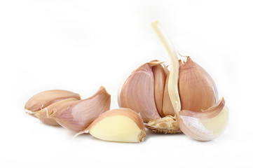 Garlic isolated on white background