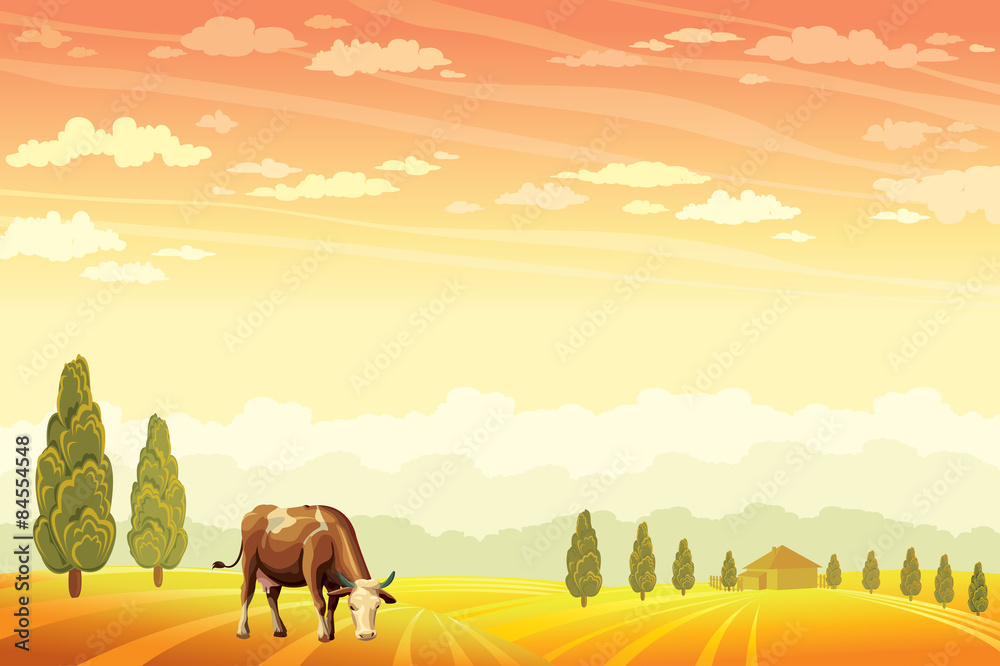 Poster domectic cow and field. rural summer landscape.