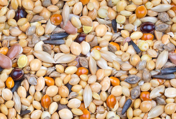 different grains macro seamless background