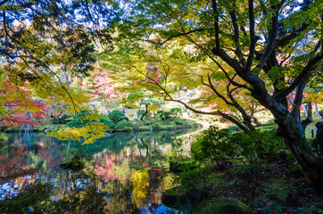 千葉県　成田市　成田山公園の紅葉