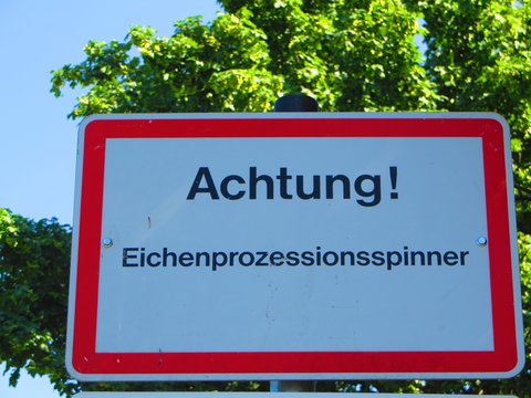 Achtung Warnung Eichenprozessionsspinner