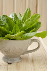 spinach 