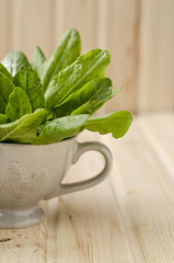 spinach 