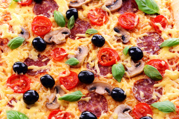 Delicious homemade pizza close-up