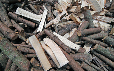 logs and wood cut for use as ecological heating