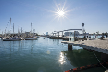 Fototapeta premium The Cathedral of the Holy Cross and Saint Eulalia, Barcelone, Sp