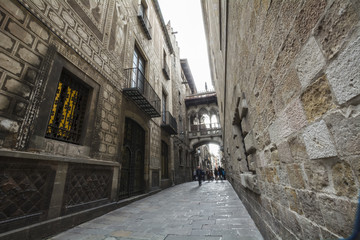 Fototapeta premium The Cathedral of the Holy Cross and Saint Eulalia, Barcelone, Sp