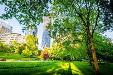 Obraz premium Frankfurt am Main