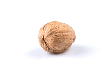 Dried walnut