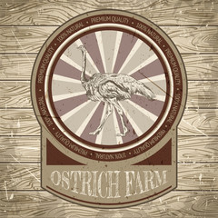 organic farm vintage label with ostrich on the background texture of wooden boards. Retro hand drawn vector illustration in sketch style